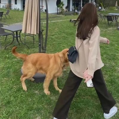八仙后传之国舅探亲